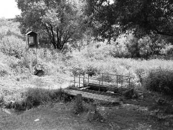 Вознесенский источник около села Несвитчино. Фото 2004 г.
