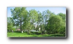 Click to enlarge